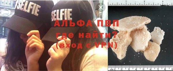гашик Дмитровск