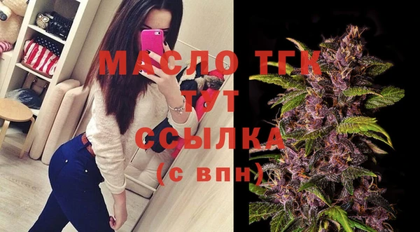 гашик Дмитровск