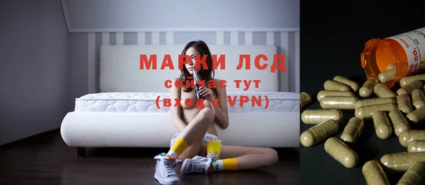 гашик Дмитровск