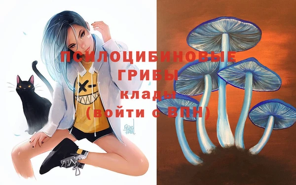 меф Дмитров