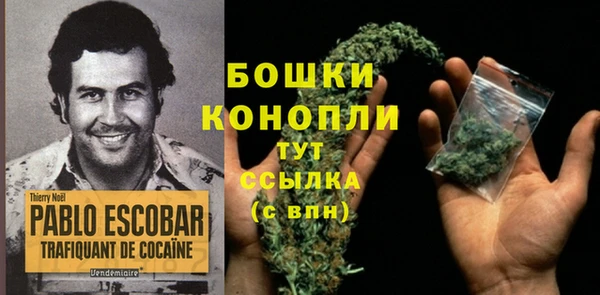 гашик Дмитровск