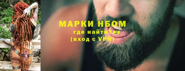 гашик Дмитровск