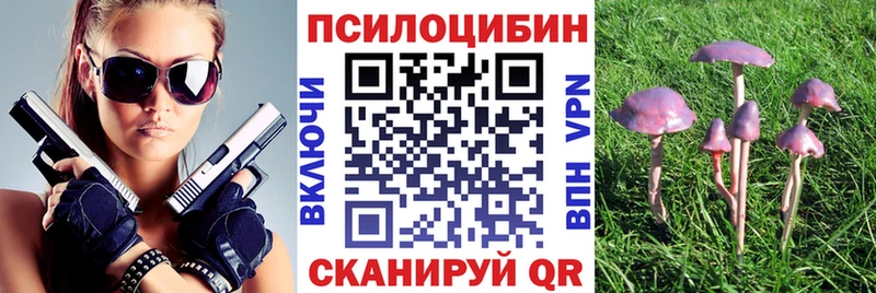 Галлюциногенные грибы Psilocybe  Купить  Кострома 